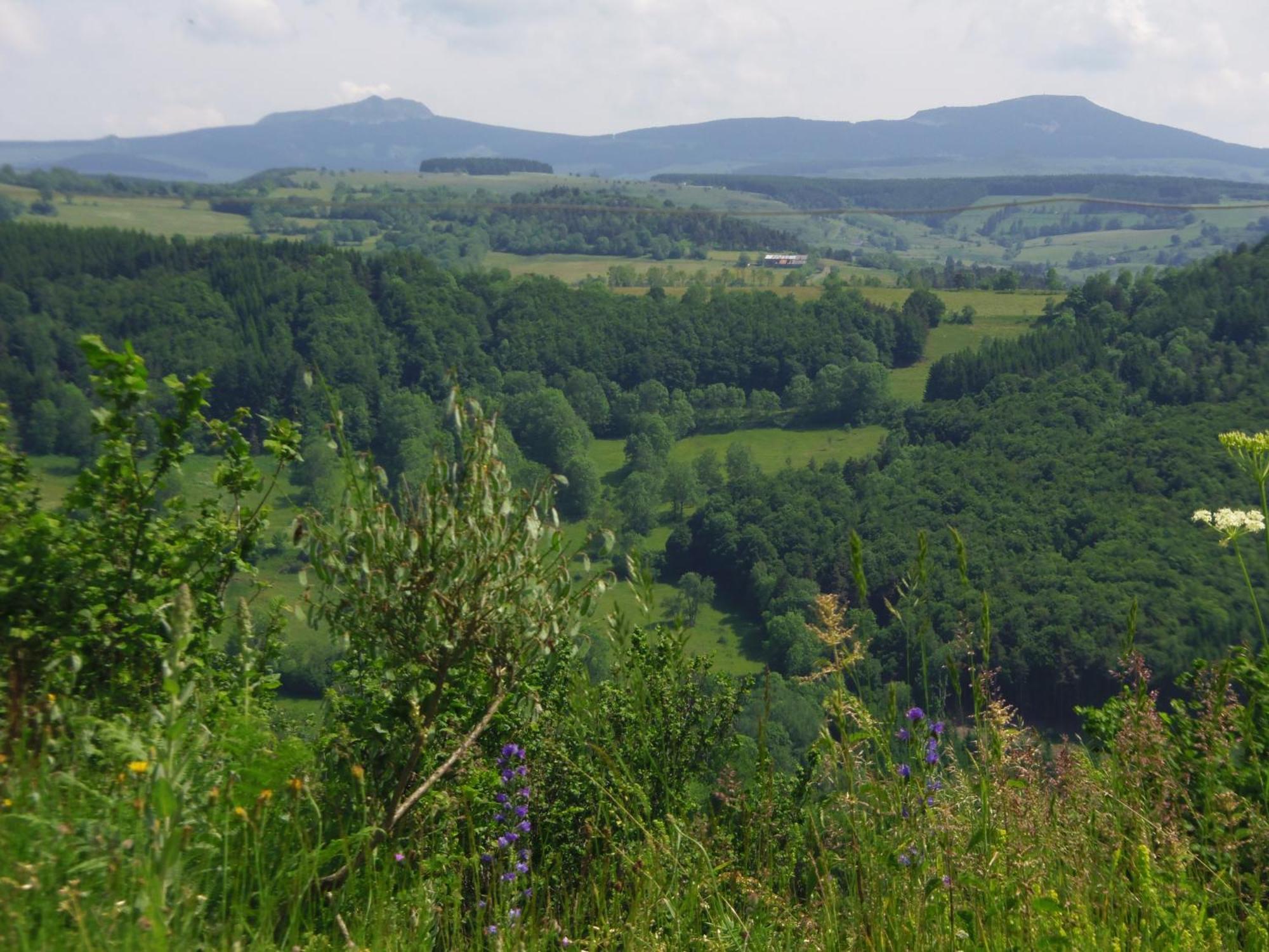 Espace Nature Sabatoux Montusclat Chambre photo